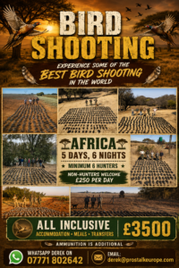 Bird Shooting Africa
