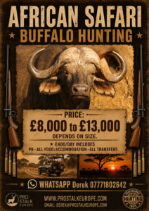 Buffalo