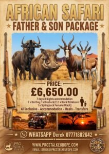 Father & Son all animals