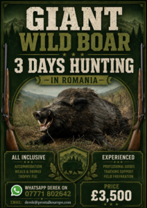 Giant Wild Boar Poster