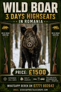 Wild Boar Highseats 2